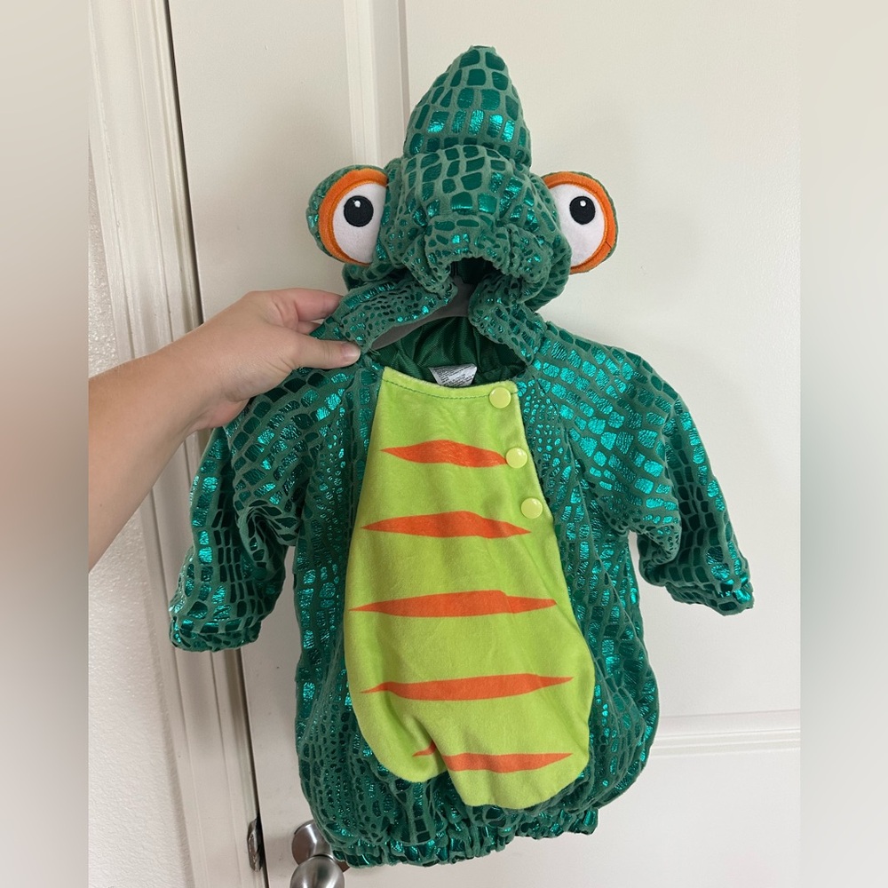 Chameleon/Pascal Costume